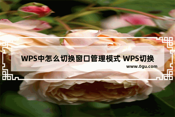 WPS中怎么切换窗口管理模式 WPS切换窗口管理模式的方法