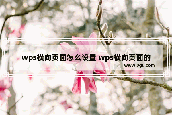 wps横向页面怎么设置 wps横向页面的设置方法