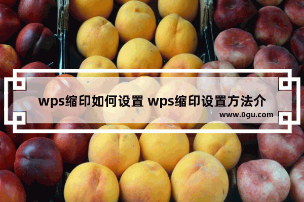 wps缩印如何设置 wps缩印设置方法介绍