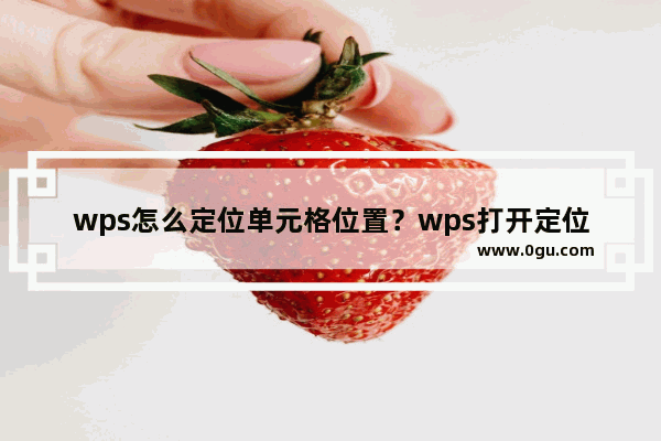 wps怎么定位单元格位置？wps打开定位条件步骤介绍