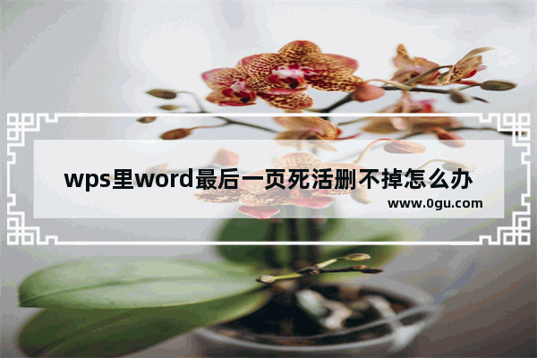 wps里word最后一页死活删不掉怎么办 wps里word最后一页死活删不掉解决办法