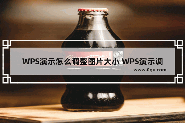 WPS演示怎么调整图片大小 WPS演示调整图片大小操作方法分享