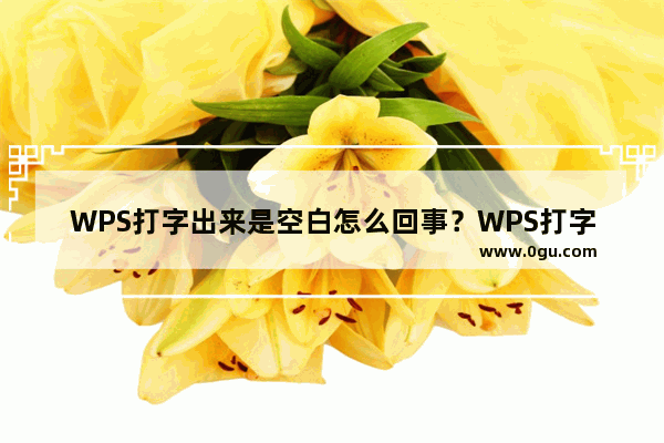 WPS打字出来是空白怎么回事？WPS打字出来是空白解决方法