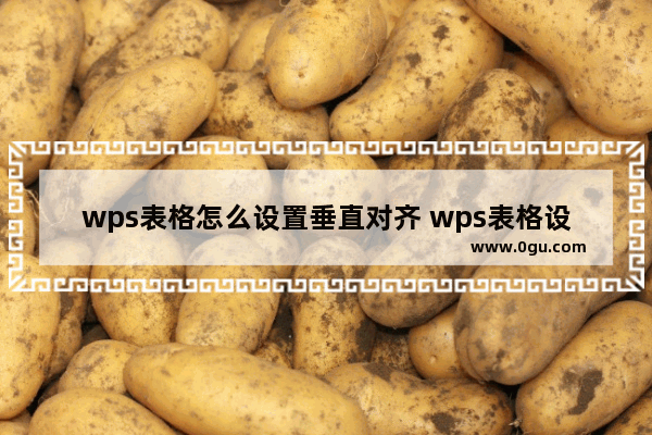 wps表格怎么设置垂直对齐 wps表格设置垂直对齐方法