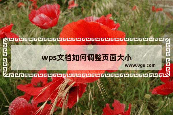 wps文档如何调整页面大小