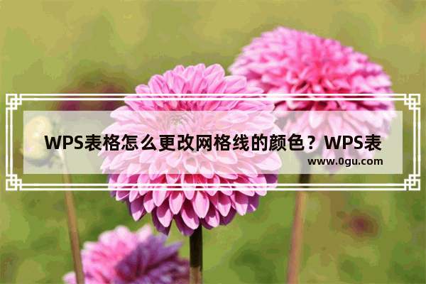 WPS表格怎么更改网格线的颜色？WPS表格网格线的颜色修改教程