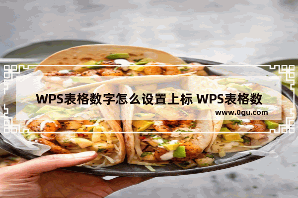 WPS表格数字怎么设置上标 WPS表格数字设置上标的教程