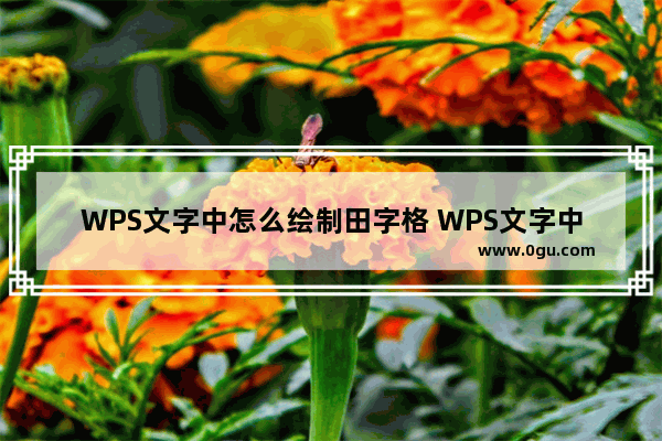 WPS文字中怎么绘制田字格 WPS文字中绘制田字格操作方法教学