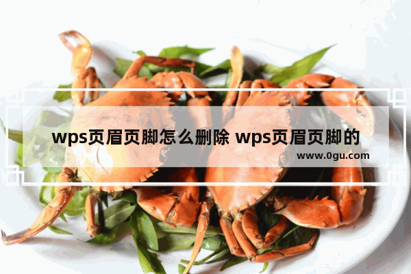 wps页眉页脚怎么删除 wps页眉页脚的删除方法