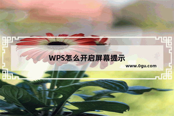 WPS怎么开启屏幕提示