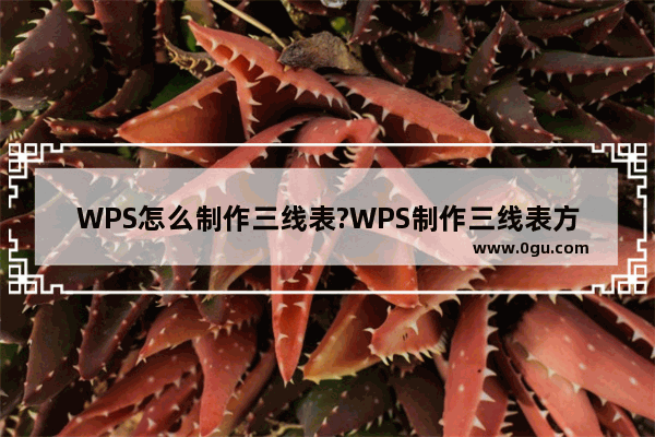 WPS怎么制作三线表?WPS制作三线表方法