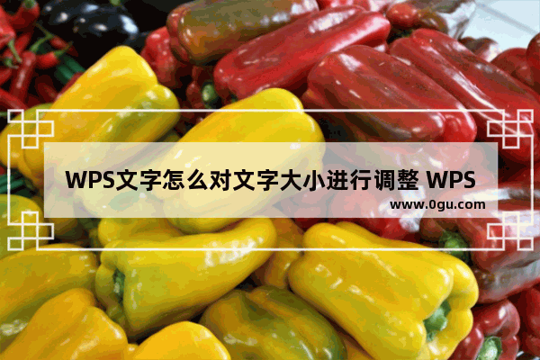 WPS文字怎么对文字大小进行调整 WPS文字对文字大小进行调整教学