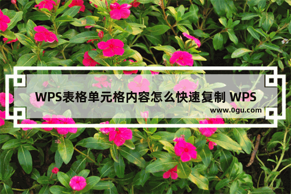 WPS表格单元格内容怎么快速复制 WPS表格单元格内容快速复制的方法分享