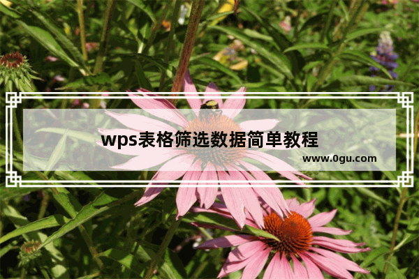 wps表格筛选数据简单教程