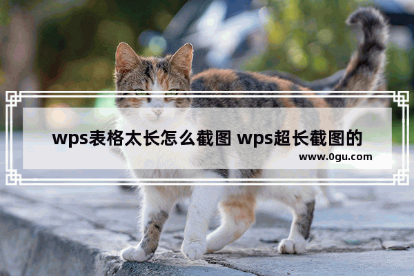 wps表格太长怎么截图 wps超长截图的方法教程