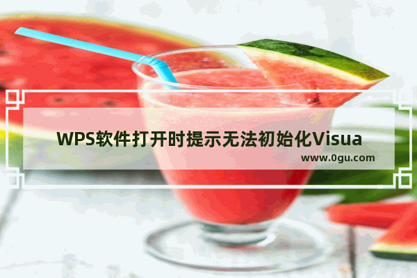 WPS软件打开时提示无法初始化Visual Basic环境的解决办法