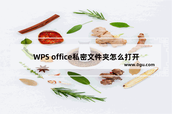 WPS office私密文件夹怎么打开