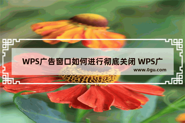 WPS广告窗口如何进行彻底关闭 WPS广告窗口进行彻底关闭教学分享