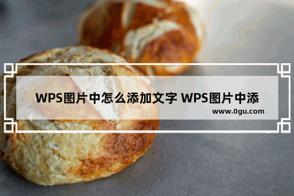 WPS图片中怎么添加文字 WPS图片中添加文字操作方法分享