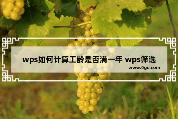 wps如何计算工龄是否满一年 wps筛选员工满工龄的技巧