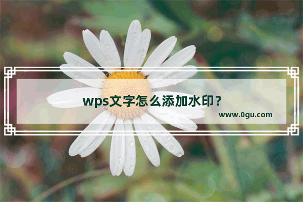 wps文字怎么添加水印？