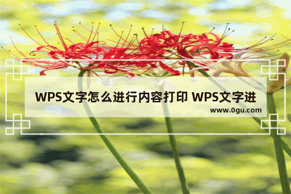 WPS文字怎么进行内容打印 WPS文字进行内容打印操作教学分享