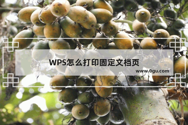 WPS怎么打印固定文档页