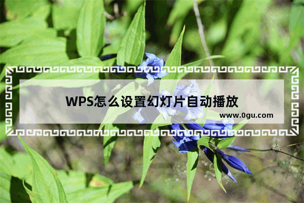 WPS怎么设置幻灯片自动播放