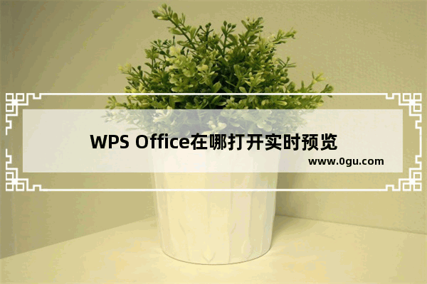 WPS Office在哪打开实时预览