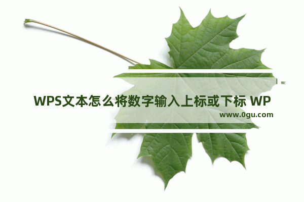 WPS文本怎么将数字输入上标或下标 WPS文本将数字输入上标或下标的操作方法分享