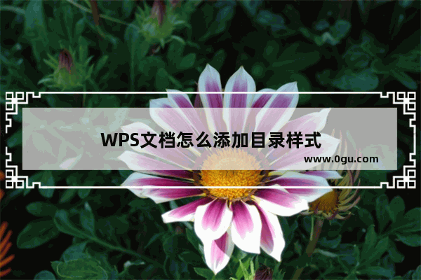 WPS文档怎么添加目录样式