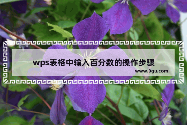 wps表格中输入百分数的操作步骤