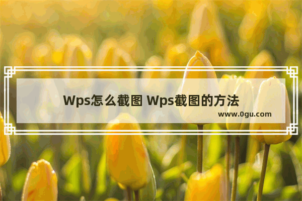 Wps怎么截图 Wps截图的方法