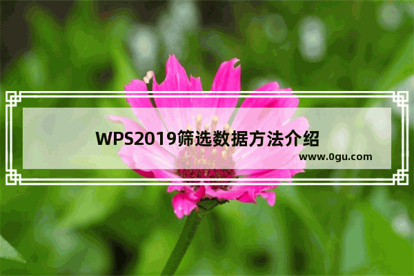 WPS2019筛选数据方法介绍