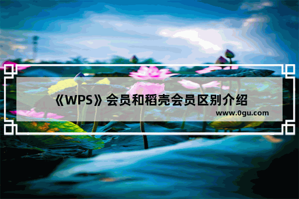 《WPS》会员和稻壳会员区别介绍