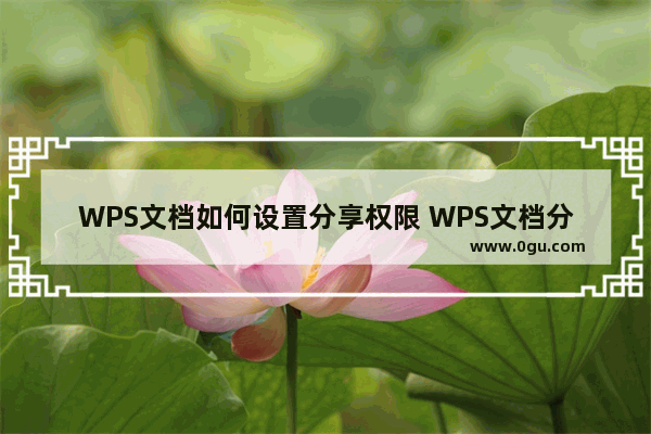 WPS文档如何设置分享权限 WPS文档分享权限介绍