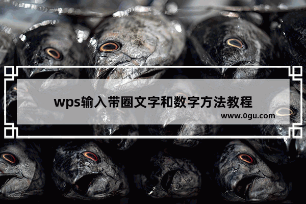 wps输入带圈文字和数字方法教程