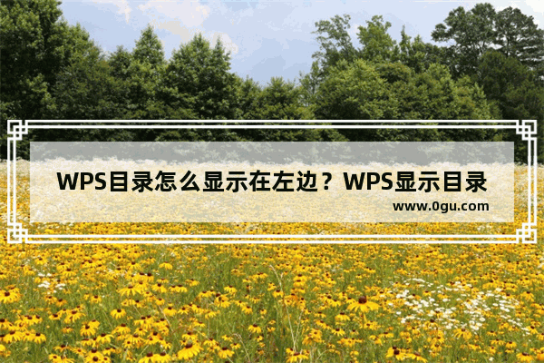 WPS目录怎么显示在左边？WPS显示目录在左侧的方法