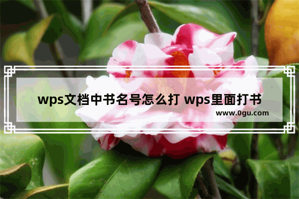 wps文档中书名号怎么打 wps里面打书名号教程