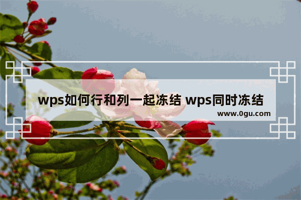 wps如何行和列一起冻结 wps同时冻结行和列教程