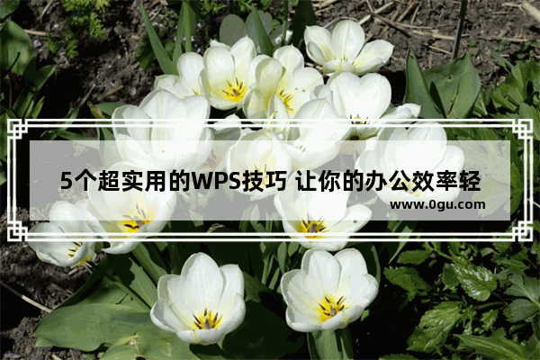 5个超实用的WPS技巧 让你的办公效率轻松翻倍！