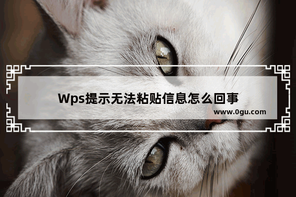 Wps提示无法粘贴信息怎么回事