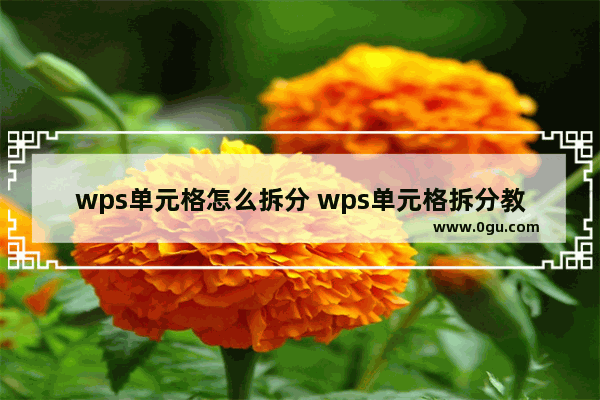 wps单元格怎么拆分 wps单元格拆分教程