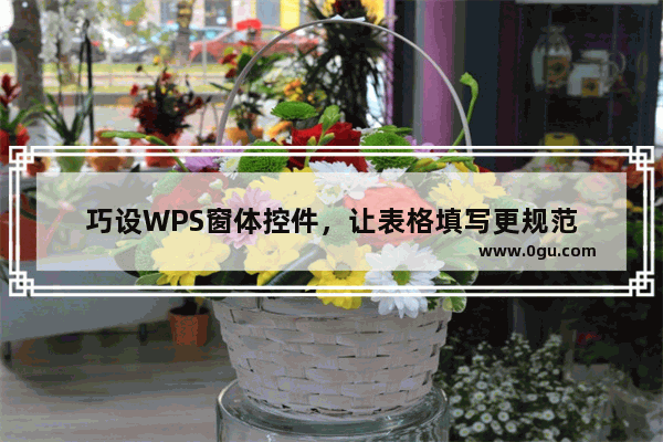 巧设WPS窗体控件，让表格填写更规范