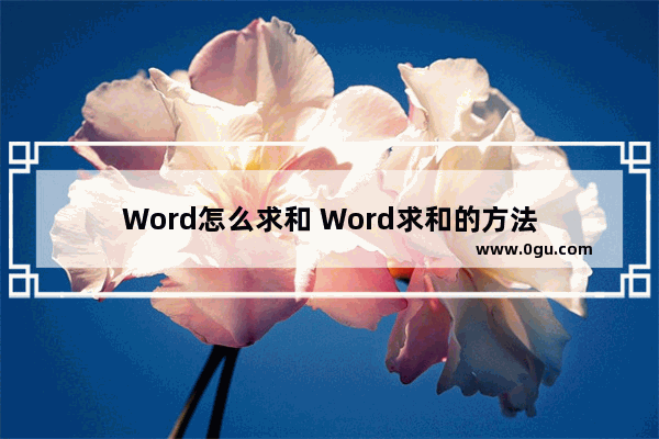 Word怎么求和 Word求和的方法