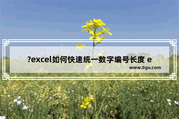 ?excel如何快速统一数字编号长度 excel设置数字编号长度一致的方法