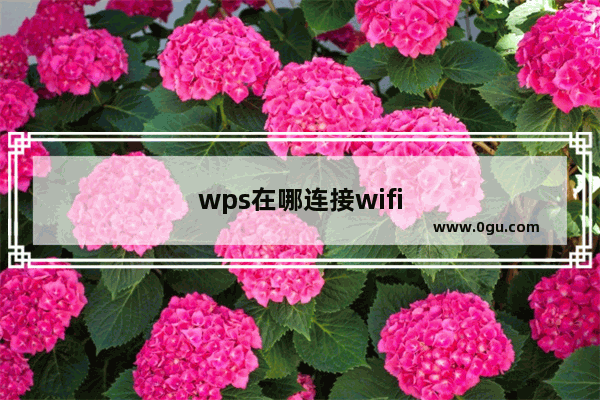 wps在哪连接wifi