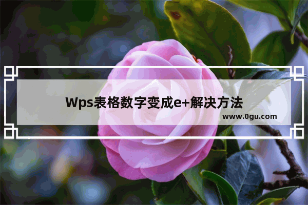 Wps表格数字变成e+解决方法