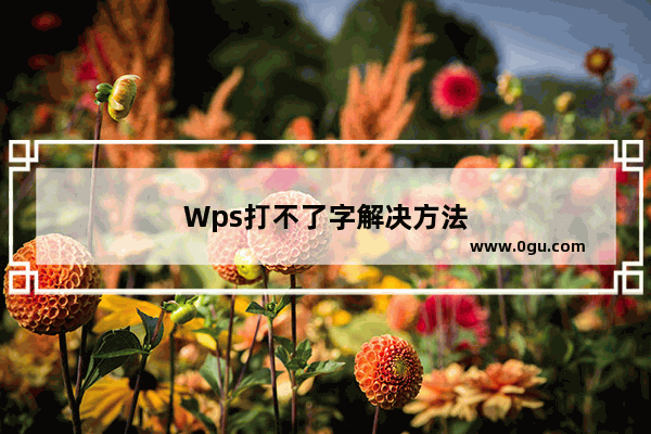 Wps打不了字解决方法