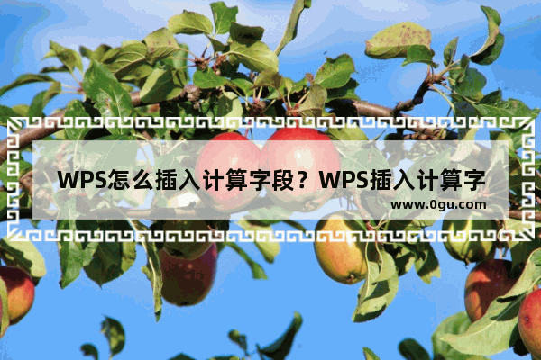 WPS怎么插入计算字段？WPS插入计算字段操作方法